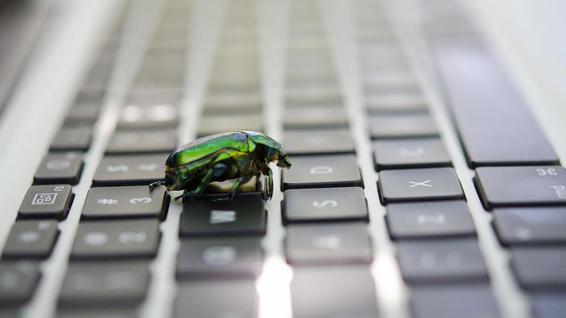 Bitcoin developers flag 85 critical bugs in an "extremely bad" situation