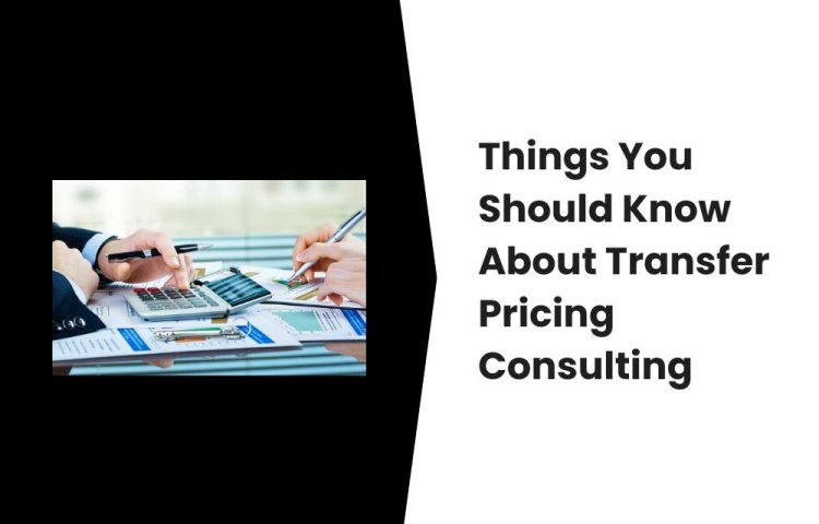 Things You Should Know About Transfer Pricing Consulting