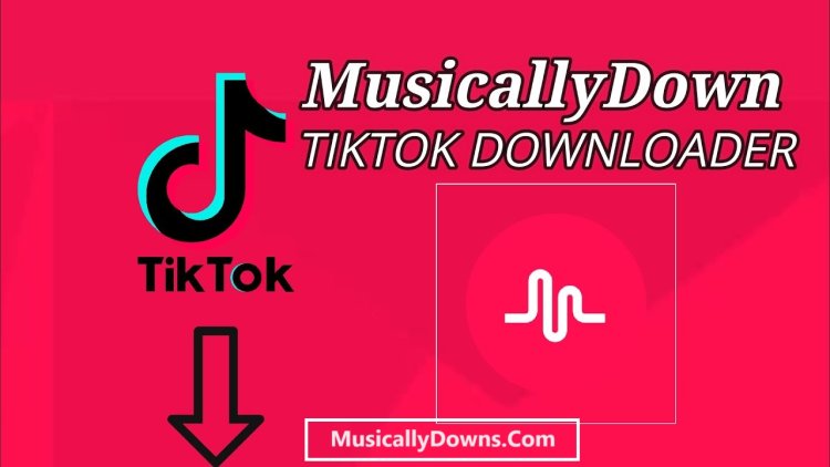 MusicallyDown - Download Video Tiktok Without Watermark